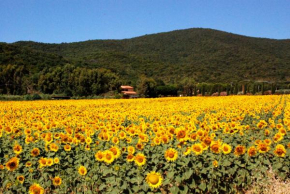 Гостиница Agriturismo Valborgina  Кастильоне Делла Пеская